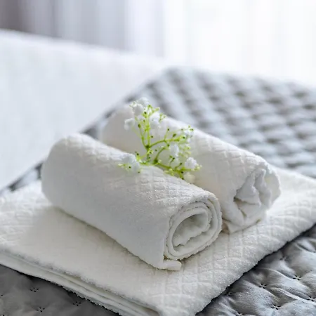 Fortuna Apartment *